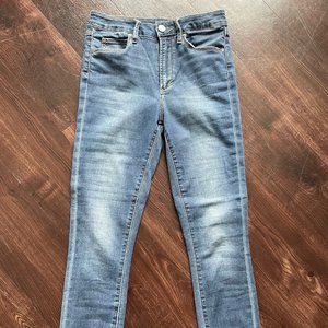 Articles of Society Ankle Crop Skinny Jeans